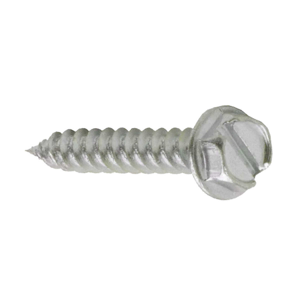 LPS-100 Lisence Plate Screws